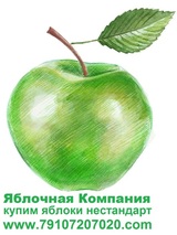 Антон Яблоков